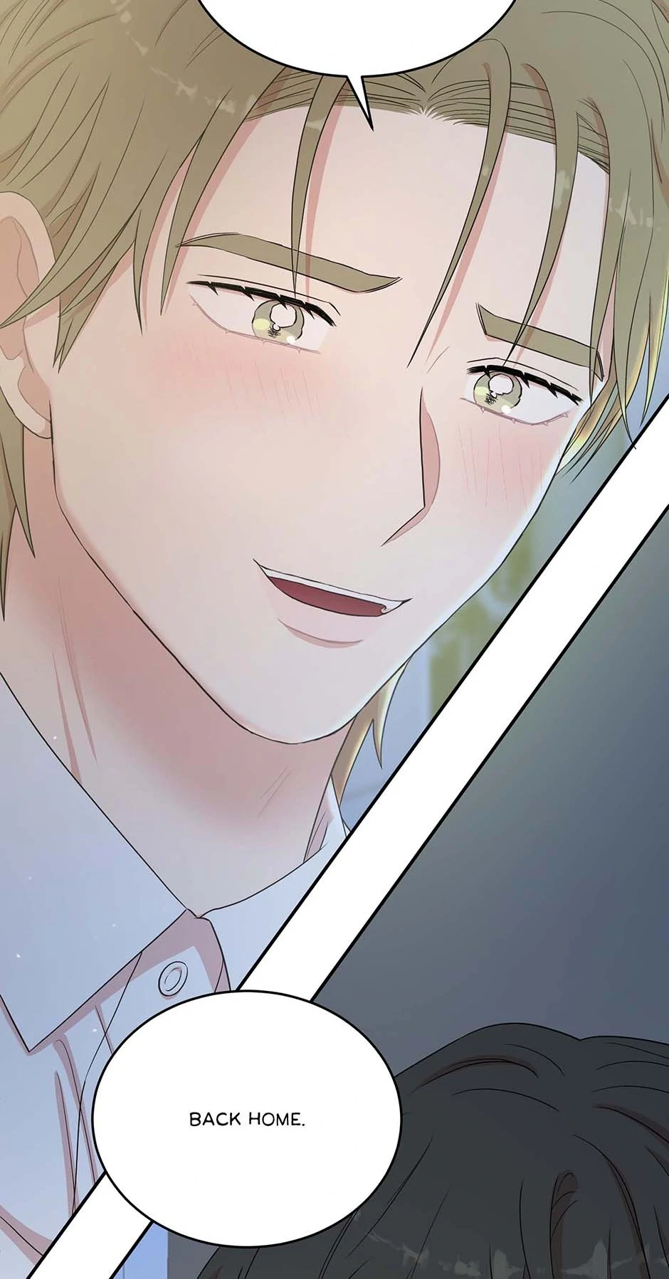 86778047 940 1798 146398